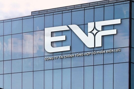 EVF công bố báo cáo tài chính kiểm toán năm 2025