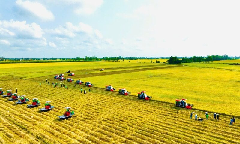 Nông sản Việt trước cơ hội cạnh tranh bằng 'dấu chân carbon thấp'