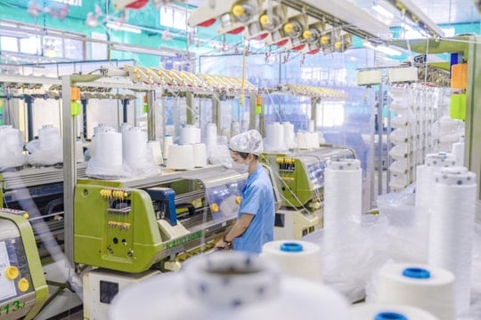 Giữa áp lực thuế và cạnh tranh, “ông lớn” dệt may 80.000 nhân sự vẫn báo lãi tăng mạnh