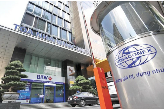 Ba phiên tăng trần liên tiếp, cổ phiếu Vinaconex đang phản ánh điều gì?