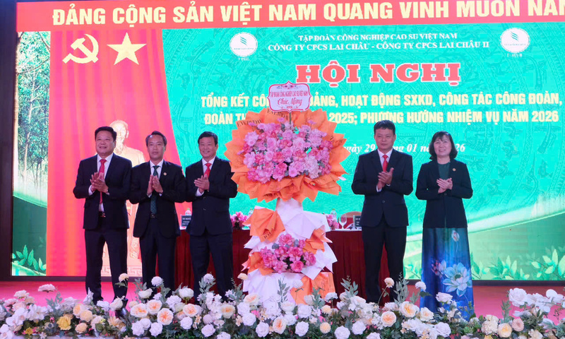 Cao su Lai Châu: Tạo việc làm, thu nhập ổn định cho lao động vùng biên