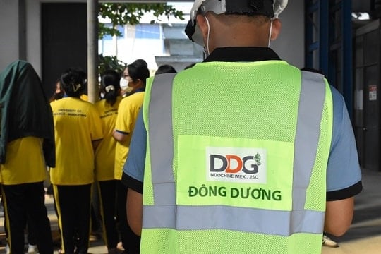 Đầu tư Công nghiệp Xuất nhập khẩu Đông Dương (DDG) có nguy cơ bị hủy niêm yết sau quý I 'trắng' doanh thu