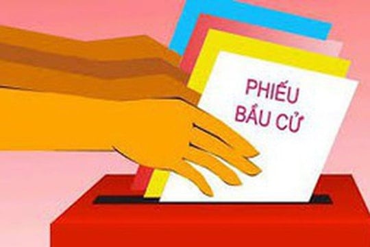 Nguyên tắc bỏ phiếu được quy định như thế nào?