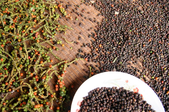 Giá tiêu hôm nay 21/11/2025: Đi ngang