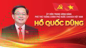 Infographic | Tiểu sử Phó Thủ tướng Hồ Quốc Dũng