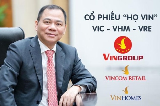 Ảnh bài viết
