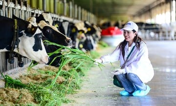 Tây Ninh: Giảm mạnh phát thải khí mê-tan, mở đường cho nông nghiệp xanh