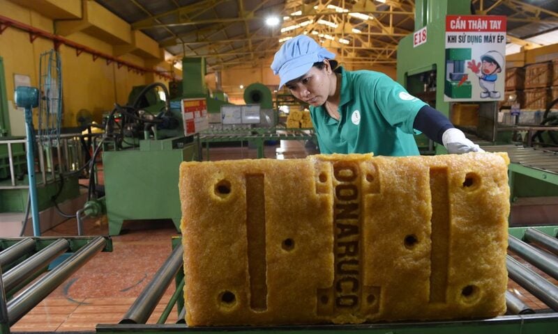 Cao su Đồng Nai phê duyệt kế hoạch mua sắm năm 2026 hơn 102 tỷ đồng