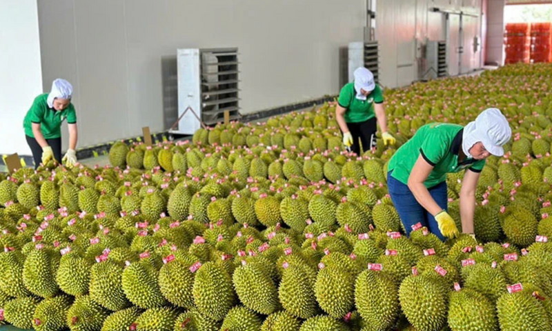 Xuất khẩu rau quả duy trì đà tăng, hướng tới mốc 8,5 tỷ USD năm 2025