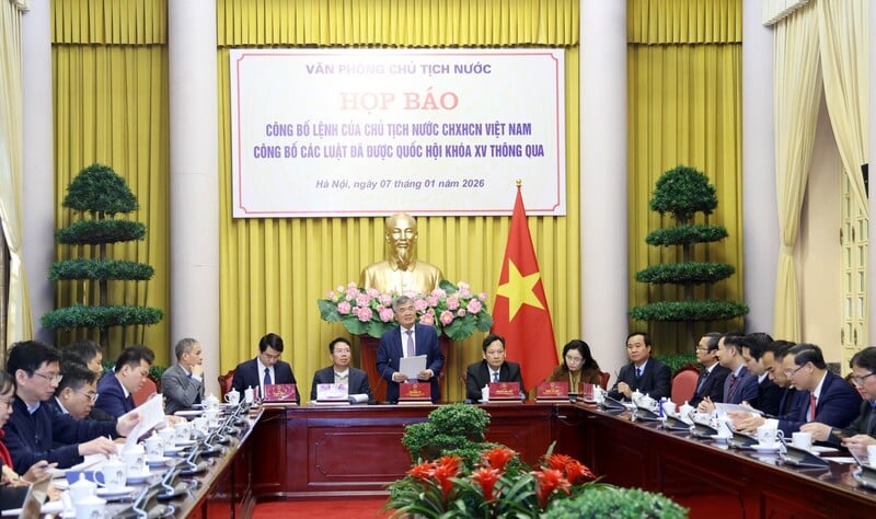 Ảnh bài viết