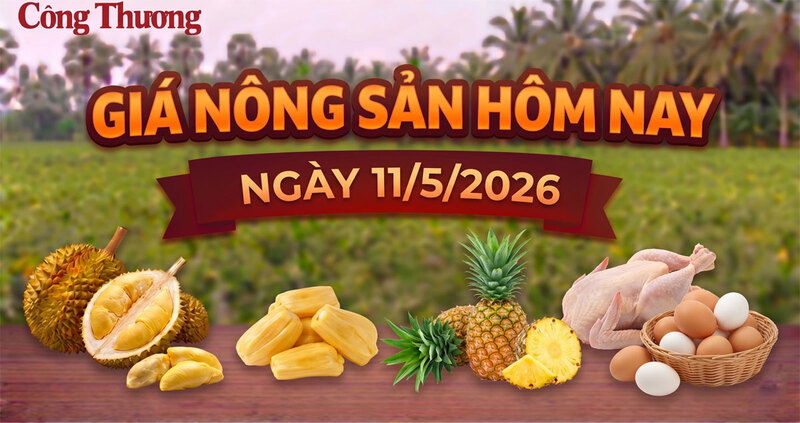 Giá nông sản hôm nay ngày 11/5: Các mặt hàng có mức giá thấp