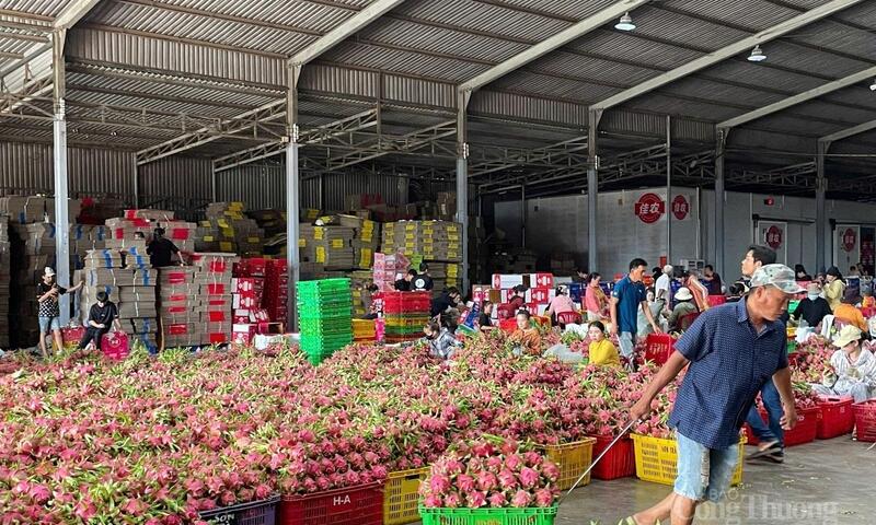 Ảnh bài viết