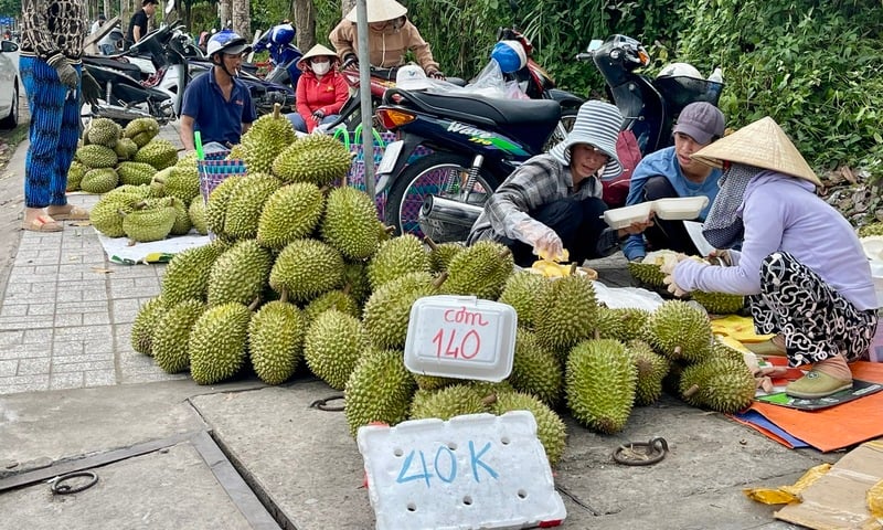 Sầu riêng hai giá: Cần giải pháp căn cơ để ổn định thị trường tiêu thụ