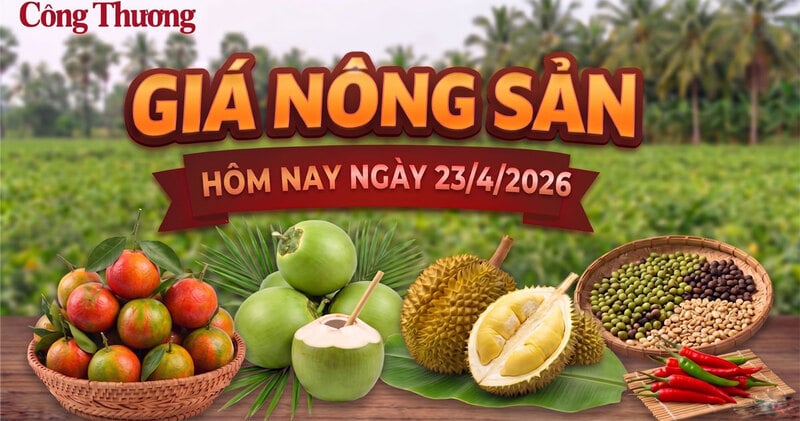 Giá nông sản hôm nay 23/4: Nhiều mặt hàng có xu hướng giảm mạnh