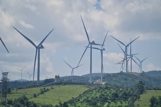 Dự án điện gió hơn 48.000 tỷ đồng tại Gia Lai về tay Tập đoàn Vingroup