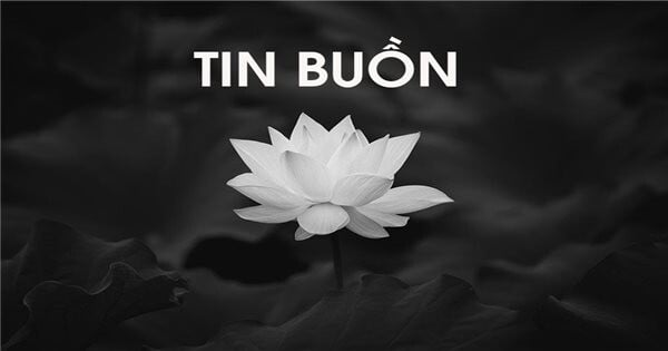 Ảnh bài viết