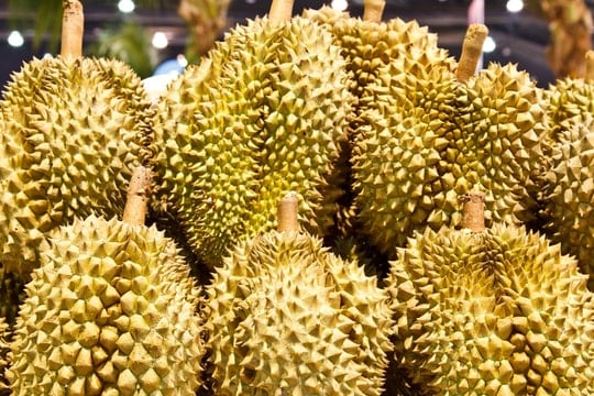 Giá sầu riêng hôm nay 10/11/2025: Ri6 miền Tây tiếp tục giảm, nhiều vườn thiệt hại nặng sau bão số 13