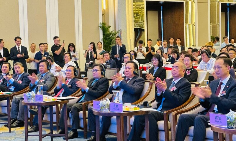 Ảnh bài viết