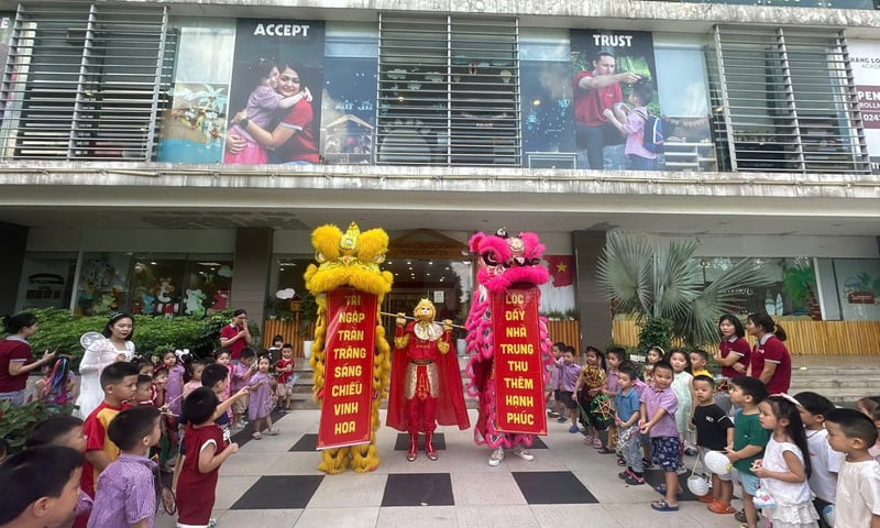 Ảnh bài viết