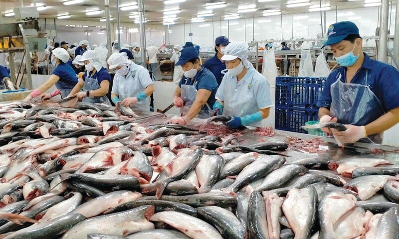 Thủy sản Việt: Nắm chuẩn EU để mở rộng xuất khẩu