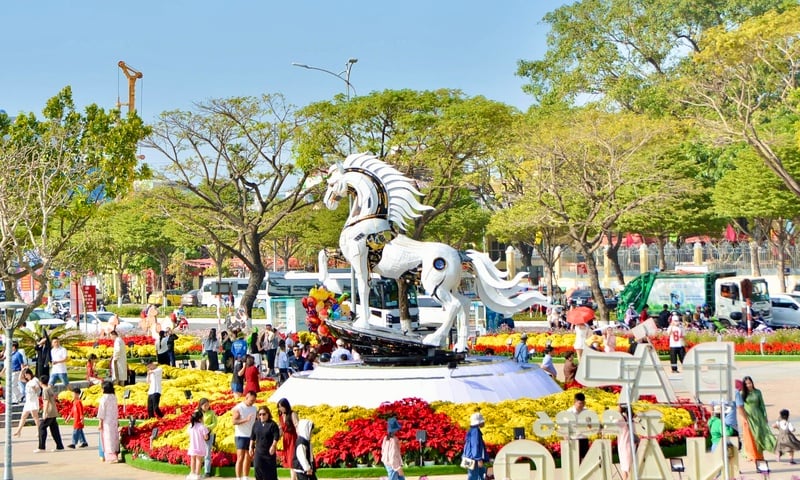 Ảnh bài viết