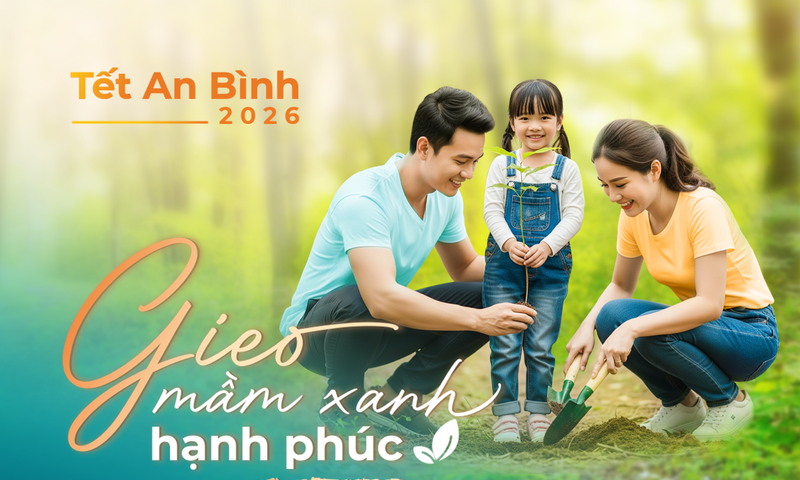 Ảnh bài viết