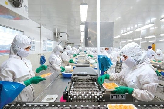 Sau cột mốc 11,3 tỷ USD, ngành thủy sản bước vào vòng cạnh tranh mới