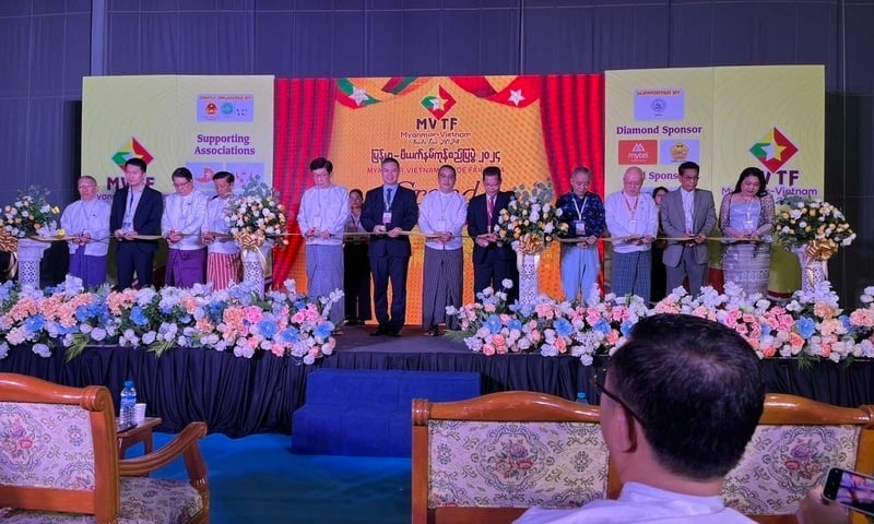 Ảnh bài viết