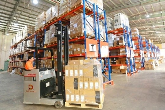 Muốn tái cấu trúc sang mô hình holdings, Digiworld (DGW) liệu có thay đổi chính sách cổ tức?