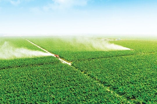 Cách làm nông khác biệt của PAN Group và Hoàng Anh Gia Lai