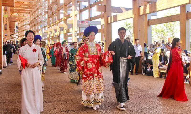 Ảnh bài viết