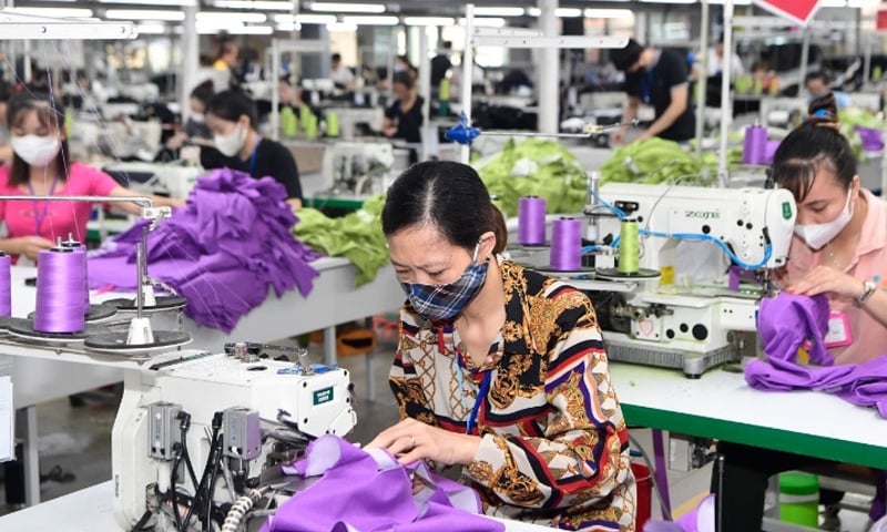 Các cam kết trong VIFTA mang lại nhiều lợi ích tích cực cho Việt Nam