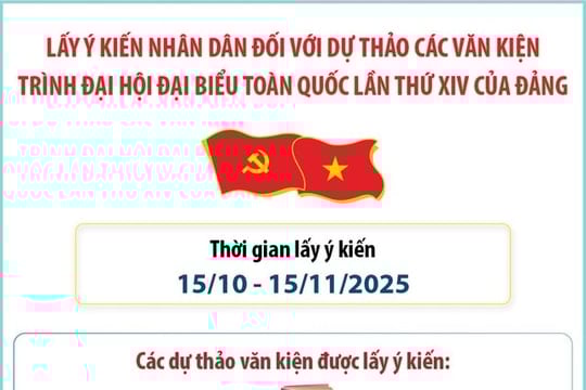 Ảnh bài viết