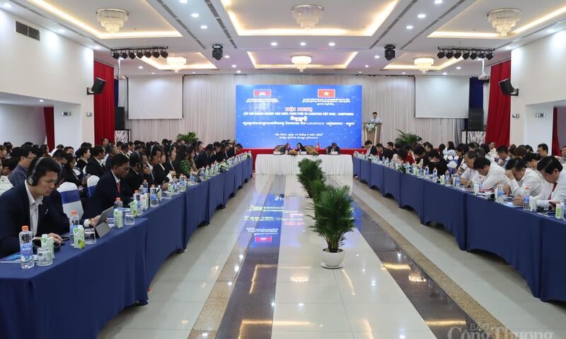 Ảnh bài viết