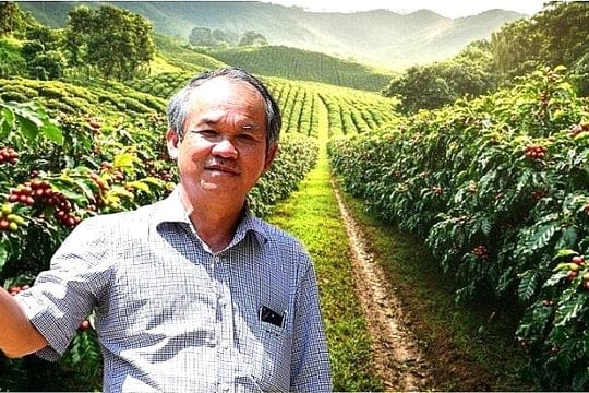 Cổ đông HAG phải chờ 10 năm mới có ngày này, bầu Đức cũng bỏ túi trăm tỷ sau khi đặt cược vào cây cà phê