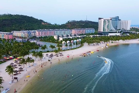 Ảnh bài viết