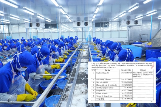 Doanh nghiệp thủy sản lâu năm tại Đà Nẵng sắp có biến động lớn