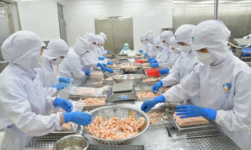 Ảnh bài viết