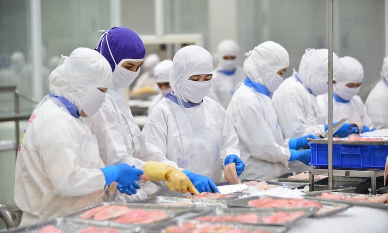 Thương vụ lưu ý doanh nghiệp khi xuất khẩu sang thị trường Israel