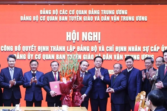 Ảnh bài viết