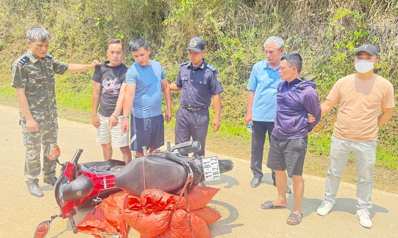 Cao Bằng: Phát hiện đối tượng chở 6 bao tải vảy nghi của tê tê