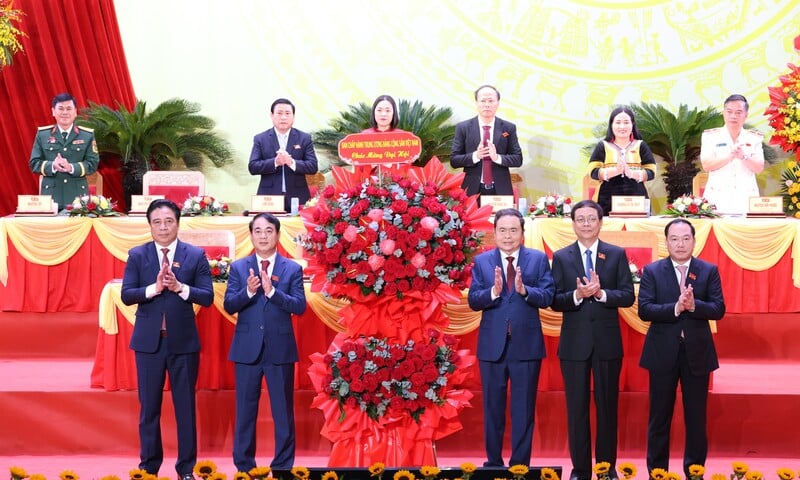 Ảnh bài viết