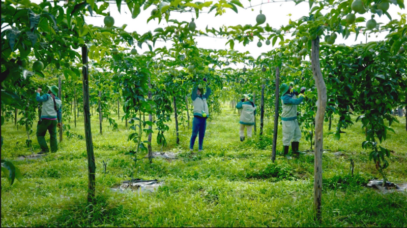 Vietnam Foodexpo 2025: Lời tri ân của Sao Mai và khát vọng mang nông sản Việt vươn xa