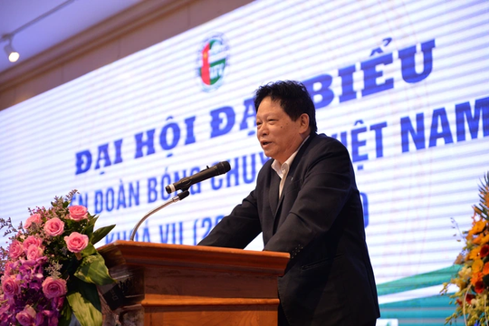 Các tổ chức nói gì về cổ phiếu của Hóa chất Đức Giang (DGC) trước nhịp giảm sâu?