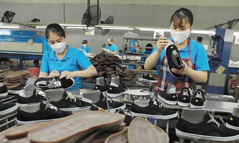 Việt Nam – Ấn Độ: Liên kết chuỗi giá trị trong hợp tác da giày