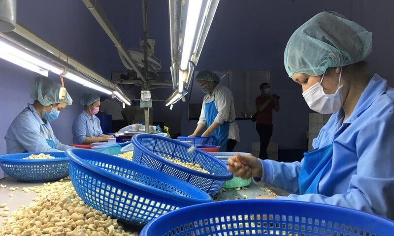 Hợp tác thương mại Việt Nam - Campuchia: Thêm động lực bứt phá